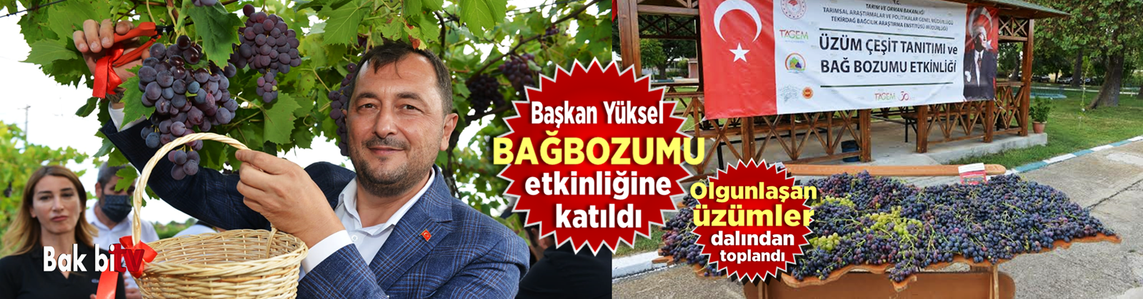 BAŞKAN YÜKSEL BAĞBOZUMU ETKİNLİĞİNE KATILDI